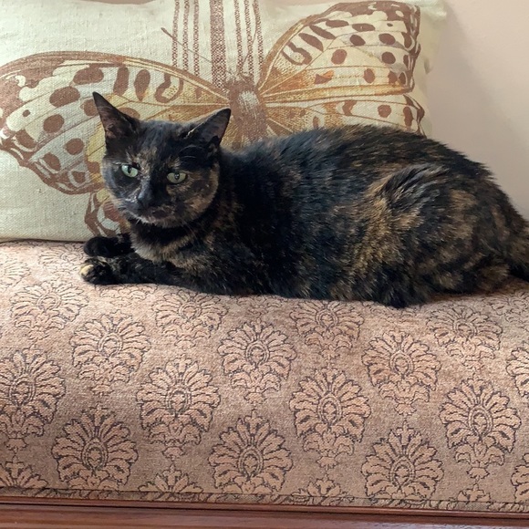 Meet your Posher - Picture 2 of 2